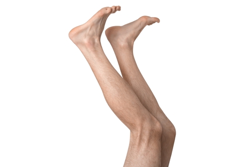 shutterstock 2662091933 1 1